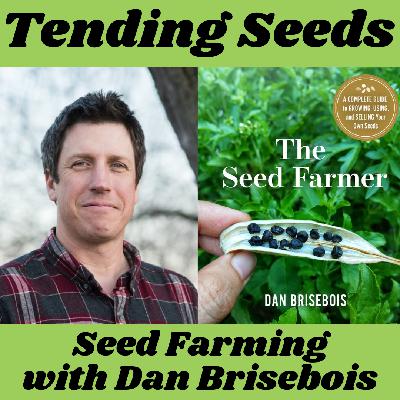 Ep 63 - Seed Farming with Dan Brisebois