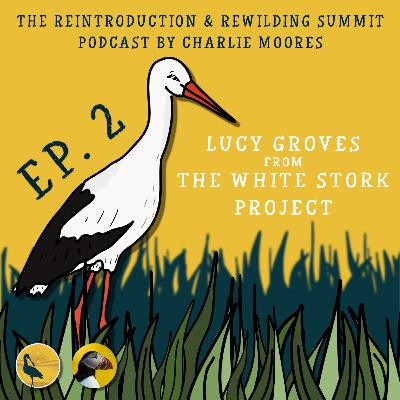 Episode 2: The White Stork Project Episode 2: The White Stork Project