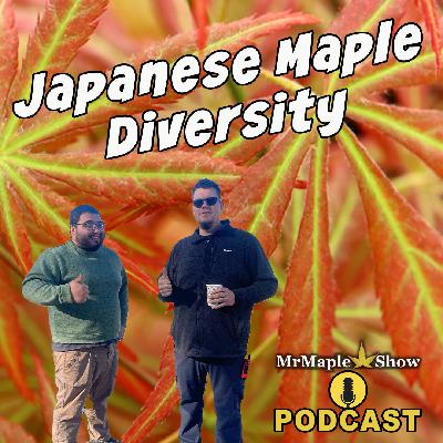 Discovering Japanese Maple Diversity | MrMaple Show Podcast Discovering Japanese Maple Diversity | MrMaple Show Podcast