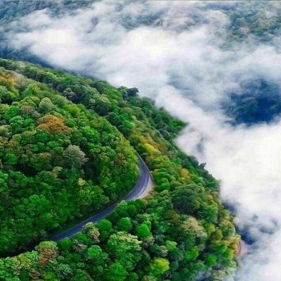 تصویر یک رویا تصویر یک رویا
