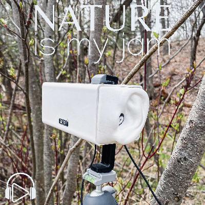Dawn Chorus at Sleeping Bear Dunes National Lakeshore