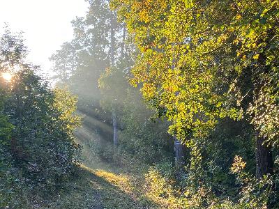 Séta az erények kertjében - A szeretés, mint a boldogság forrása