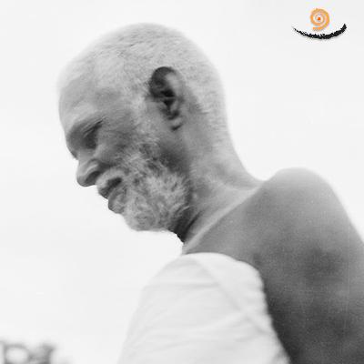 565. Observation leads to abidance in Self - Non Duality Satsang