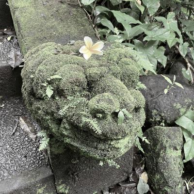 산보 - sofolofo 11.24.25 | VISLA FM