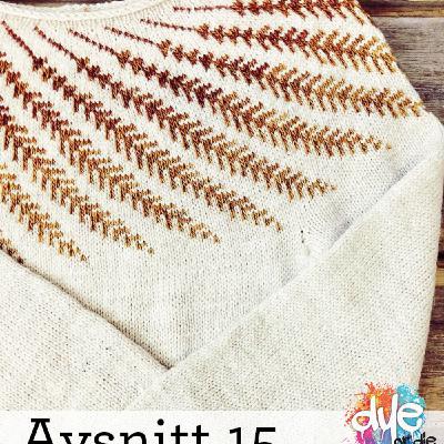 Avsnitt 15