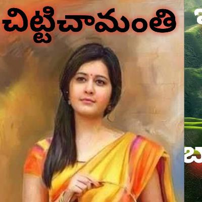 చిట్టిచామంతి చిట్టిచామంతి