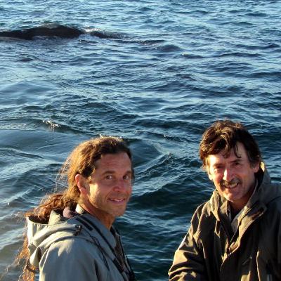 Mariano Sironi y Diego Taboada: 'Las personas tenemos personalidad y las ballenas tienen ballenidad'