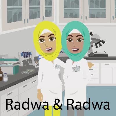 Episode 4: What is genetically modified food?