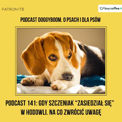 Podcast 141: Gdy szczeniak "zasiedział się" w hodowli - na co zwrócić uwagę