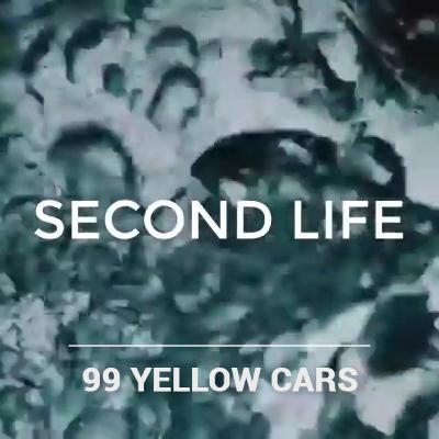 Second Life Second Life