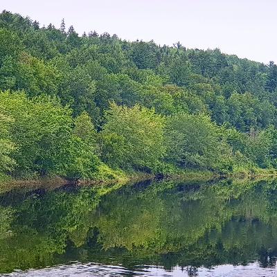 تو اون روزهای که پر میشیم از ناامیدی و یاس چیکار میتونیم بکنیم؟