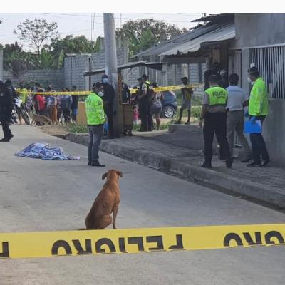 “Sentenciar en Ecuador se vuelve difícil” “Sentenciar en Ecuador se vuelve difícil”