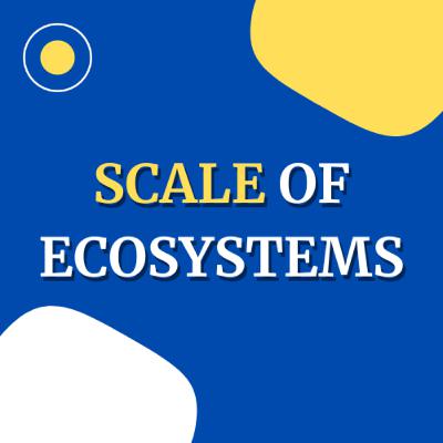 Episode 3 - The Impact of Scale on Ecosystems Episode 3 - The Impact of Scale on Ecosystems