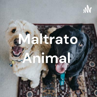 Maltrato animal