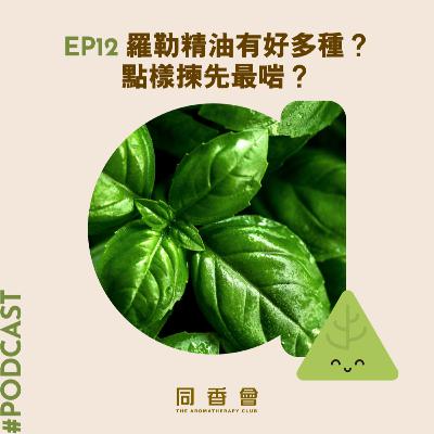 12 - 羅勒精油有好多種？點揀先最啱？