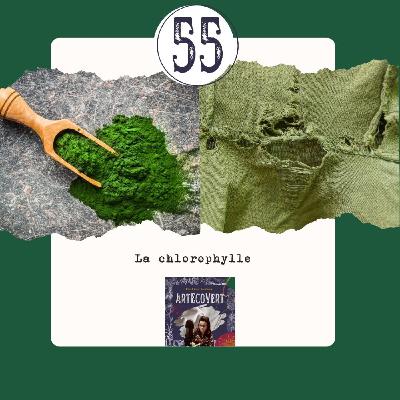 La chlorophylle, la couleur de la vie, le sang du végétal La chlorophylle, la couleur de la vie, le sang du végétal