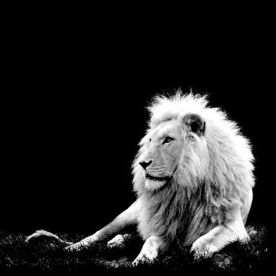 Ras Enzo - Podcast N.2 (Reggae, Roots, Dub)