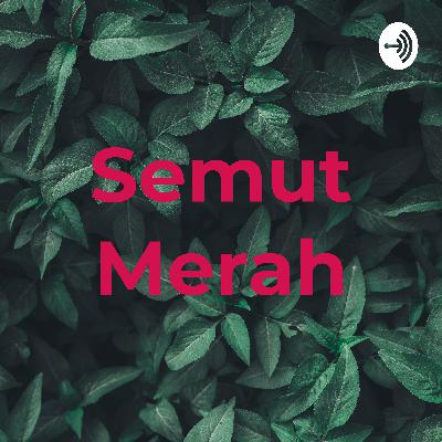 BINCANG MALAM - Millenial Wajib Ngerti ini!!