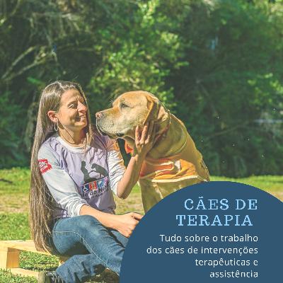 Cães de assistência Cães de assistência