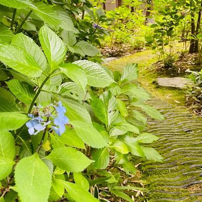 #162 信じて見守ると子どもは自ら成長していく