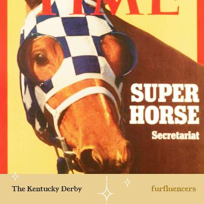 Is the Kentucky Derby Worth It?