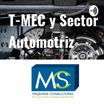 Podcast 10 Adenda: “Explicando las Consultas Formales en el sector automotriz”