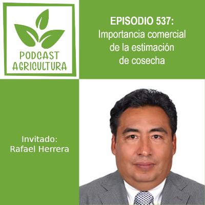 537 Importancia comercial de la estimación de cosecha con Rafael Herrera