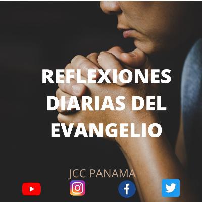 REFLEXIÓN DEL EVANGELIO "SERVIR Y NO SER SERVIDO"