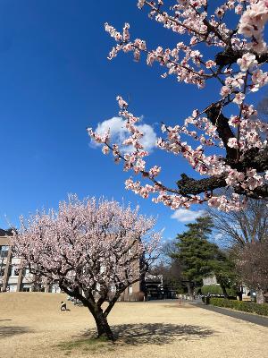 物語を書き、読むこと from Radiotalk 物語を書き、読むこと from Radiotalk