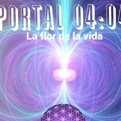 Portal 04 04 preparación. Portal 04 04 preparación.