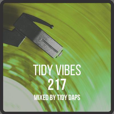Tidy Vibes 217