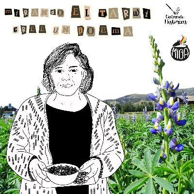 Catando Historias: María Eugenia Galarreta