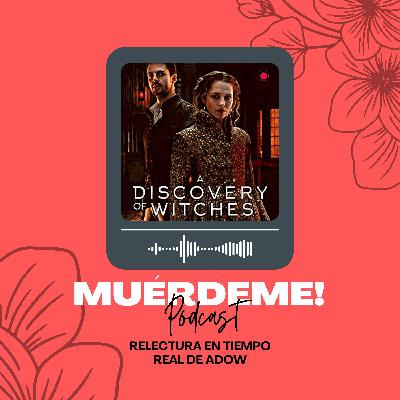 Relectura en tiempo real de ADOW