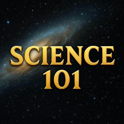 (Bonus)Mental Health 101, in its first season, features Ali Yilmaz as a guest, highlighting the importance of mental health awareness and fostering it. (Bonus)Mental Health 101, in its first season, features Ali Yilmaz as a guest, highlighting the importance of mental health awareness and fostering it.