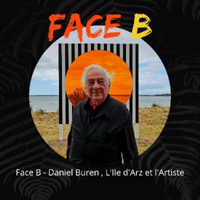 Face B, Daniel Buren, l'Ile d'Arz et l'artiste ... Face B, Daniel Buren, l'Ile d'Arz et l'artiste ...