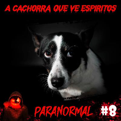 A Cachorra que Vê Espíritos | Paranormal #8
