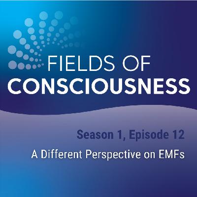 Ep. 12: A Different Perspective on EMFs Ep. 12: A Different Perspective on EMFs