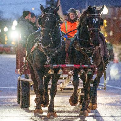 Pumpkinfest and the BIAs Highlight Fall Events