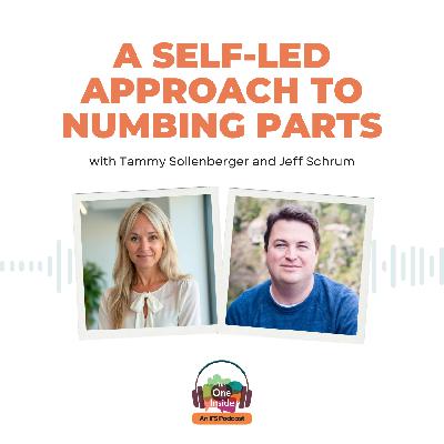 A Self-Led Approach to Numbing Parts with Tammy Sollenberger and Jeff Schrum