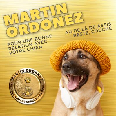 BIENVENUE au Podcast