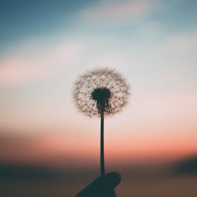 #1: Conceito de Yoga Nidra