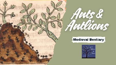 Medieval Bestiary - Ants & Antlions