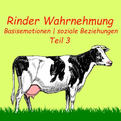 Basisemotionen und soziale Beziehunge | Rinder Wahrnehmung | Teil 3 | Audio | Kuhles zum Kauen Basisemotionen und soziale Beziehunge | Rinder Wahrnehmung | Teil 3 | Audio | Kuhles zum Kauen