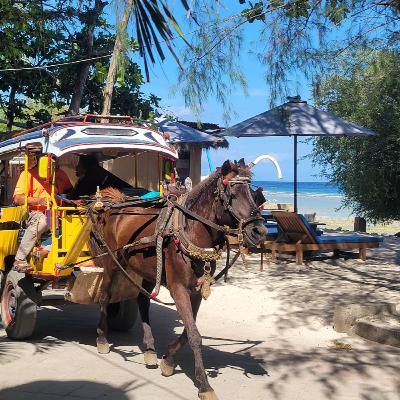본전 생각 없이, 느긋하게 책 읽으면서 여행하려면..