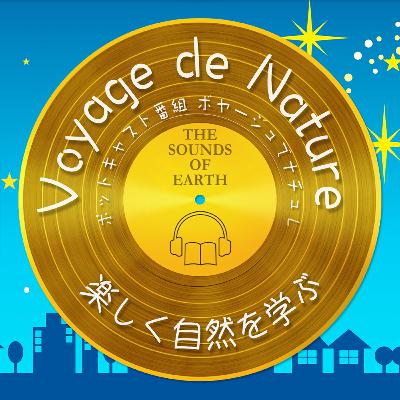 #079【パタゴニア３】企業による環境保護への取組み 第三回目