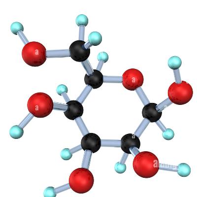 Glucosio e Glicolisi - Metabolismo EP.1