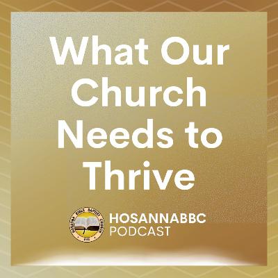 What Our Church Needs to Thrive (Part 2) - Rev. Provy R. Cadelina
