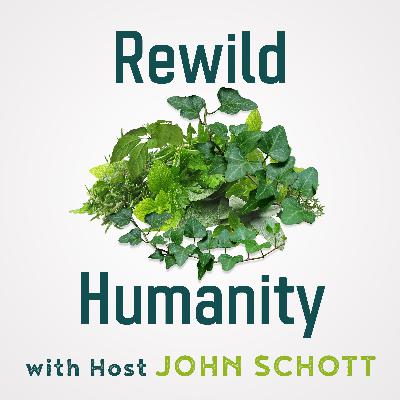 Episode 22: Creating Functional Humans with Miami Biomechanics