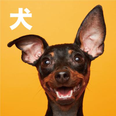 【犬】をいただきます。