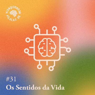 Arquivo #166 - Pílulas: Os sentidos da vida